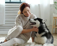 Top 5 Dog Grooming Supplies For Our Furry Friend