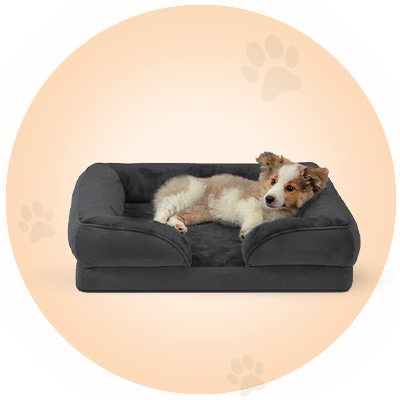 Pet Bed