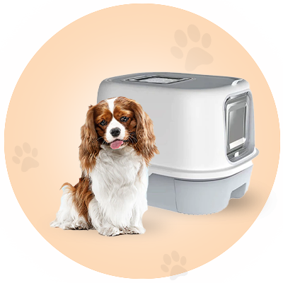 Pet Clean Product