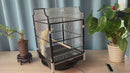 PAWS ASIA Manufacturers Stainless Steel Wire Gold Big Fancy Bird Cage Canary Aviary For Sale