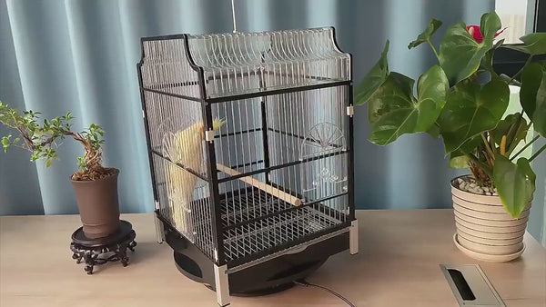 PAWS ASIA Manufacturers Stainless Steel Wire Gold Big Fancy Bird Cage Canary Aviary For Sale