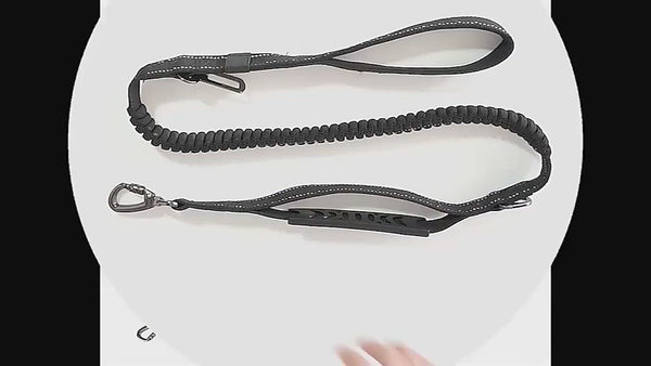 PAWS ASIA Factory Luxury Reflective Elastic Retractable Training Dog Leash With Pet Car Seat Belt Buckle