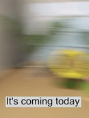 PAWS ASIA Factory Dropshipping Sisal Durable Cat Scratchers Felt Eco Friendly Toys For Cats