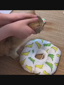 PAWS ASIA Wholesale High Quality Multiple Sizes Cute Round Elizabethan Collar Pet Dogs Cats