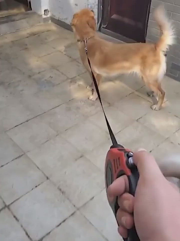 PAWS ASIA China Factory Low Moq Best Selling Nylon Portable Multi Function Retractable Dog Leash