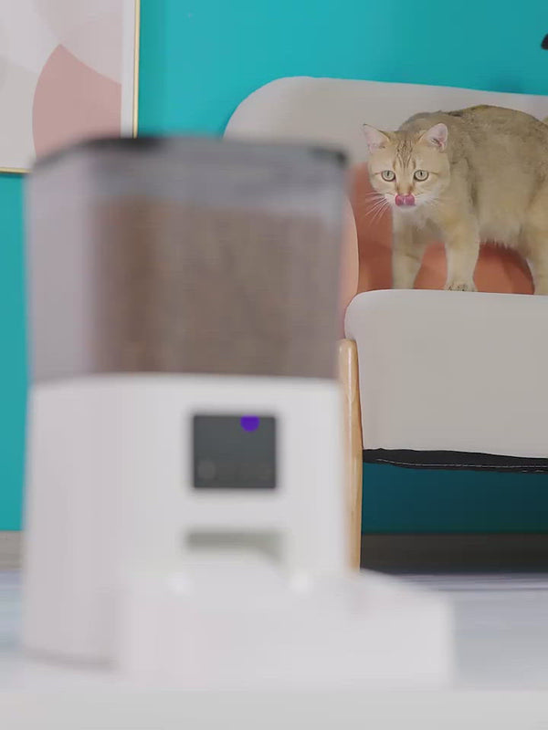 PAWS ASIA Factory Wifi App Phone Control Timing Interactive Video Smart Pet Feeder With Voice 4L