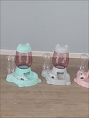 PAWS ASIA Manufacturers Silicone Non Slip Folding Portable Travel Double Dog Bowl Cat With Mat