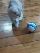 PAWS ASIA ABS Automatic Running Round Voice Tumbler Balance Ball With Cat Stick Pet Toy Cat1