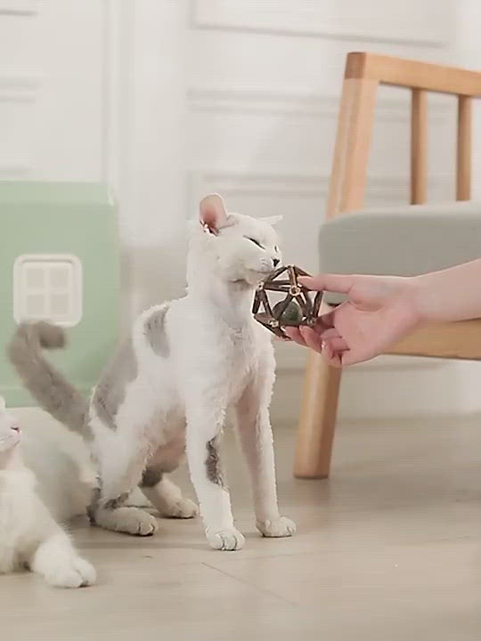 PAWS ASIA Wholesale Square Pet Toilet Cute Big Closed Splash Proof Drawer Type Cat Litter Box