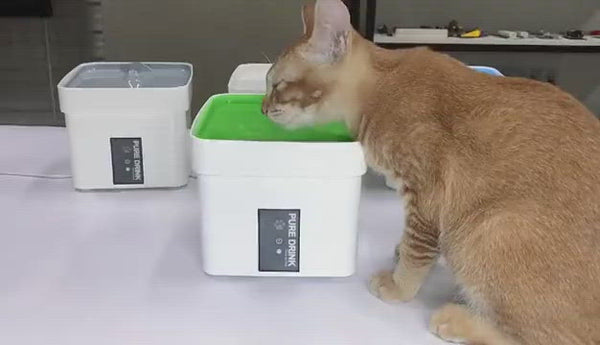 PETCOME Suppliers Pet Travel Quite Automatic UVC Disinfection Cat Drinking Fountain Filters 1L
