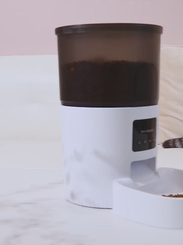PAWS ASIA Suppliers Cat Dog Food Dispenser Automatic Smart Pet Feeder 3L With Camera