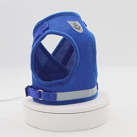 PAWS ASIA China Manufacturers Competitive Price Comfort Vest With Pet Leash