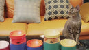 PAWS ASIA Wholesale New Plastic Multifunctional 2 In 1 Elevated Double Cat Bowl Dog Feeder