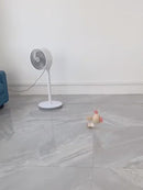 PAWS ASIA AliExpress Popular Cotton Animal Sustainable Kawaii Sex Toys Dog Pet1