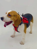 PAWS ASIA Wholesale New Waterproof Reflective Pet Dog Collar And Leash Harness Set With Bag