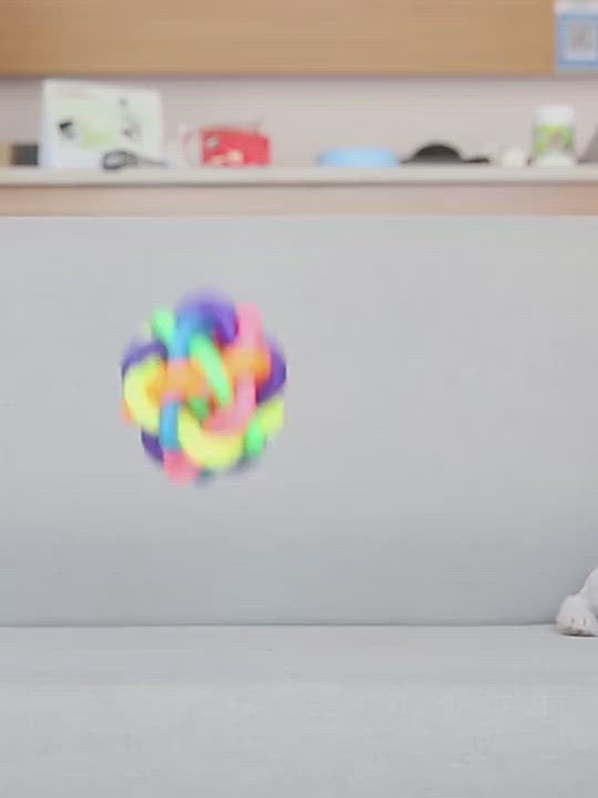 PAWS ASIA Factory Dropshipping Plastic Little Elasticity Bite Resistant Ball Cat Dog Toy With Bell