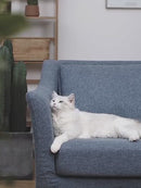 PAWS ASIA Suppliers ABS Plastic Phone App Control Automatic Smart Pet Water Feeder Cat Dog