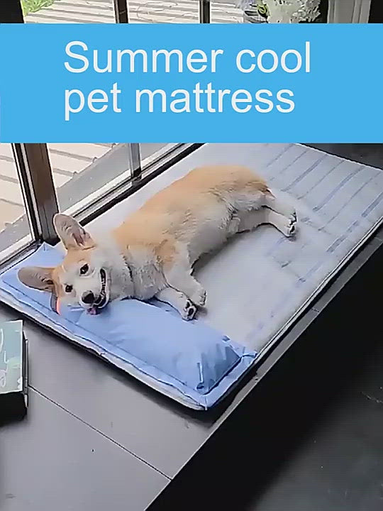 PAWS ASIA Suppliers Summer Cold Washable Luxury Big Dog Cooling Sofa Bed With Pillow