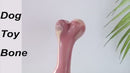 PAWS ASIA Suppliers Rubber Simulation Bone Interesting Nosework Look Real Squeaky Dog Toys
