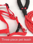 PAWS ASIA Factory 2021 New Pet Products Low MOQ Reflective Premium Rope Anti Slip Handle Dog Leash With Hook