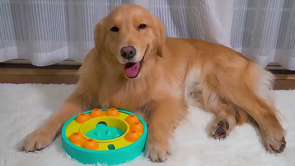 PAWS ASIA Manufacturers Multifunctional Food Dispenser Durable Slow Feeding Puzzle Training Treat Dog Toys