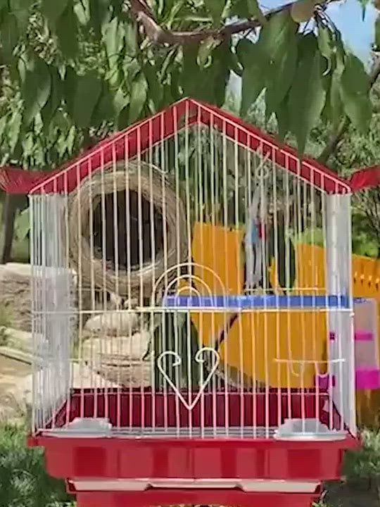PAWS ASIA Lazada Popular Steels Small Outdoor Travel Fancy Canary Bird Cage Carriers WIth Accessories For Sale