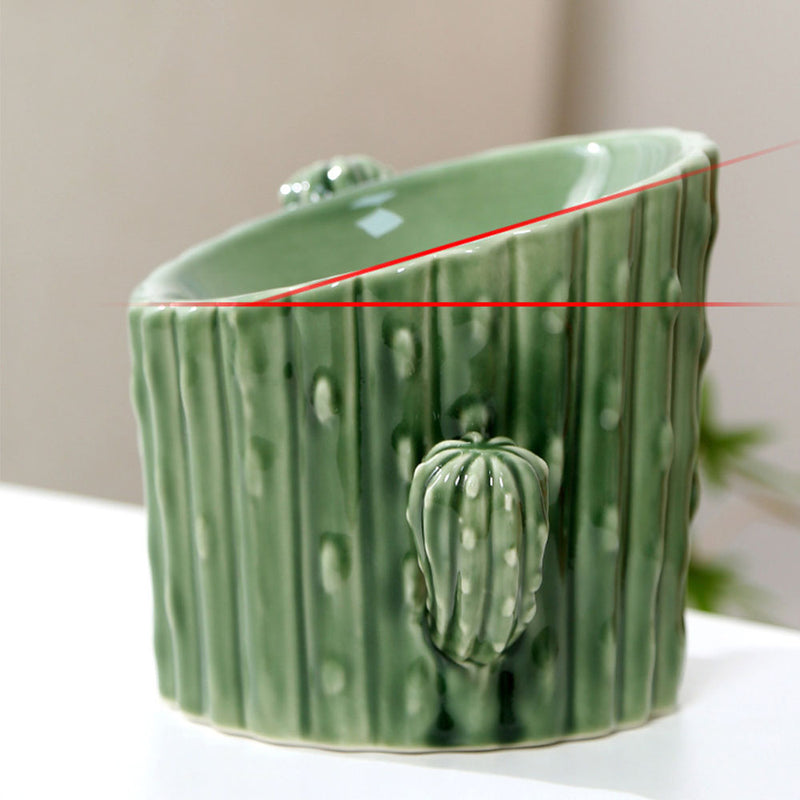 PAWS ASIA Suppliers Custom Ceramic Luxury Cactus Tall Non Slip Elevated Slanted Cat Bowl Dog