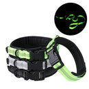 PAWS ASIA Suppliers Nylon Luxury Personalized Modern Novel Design Reflective Large Pets Dog Collar