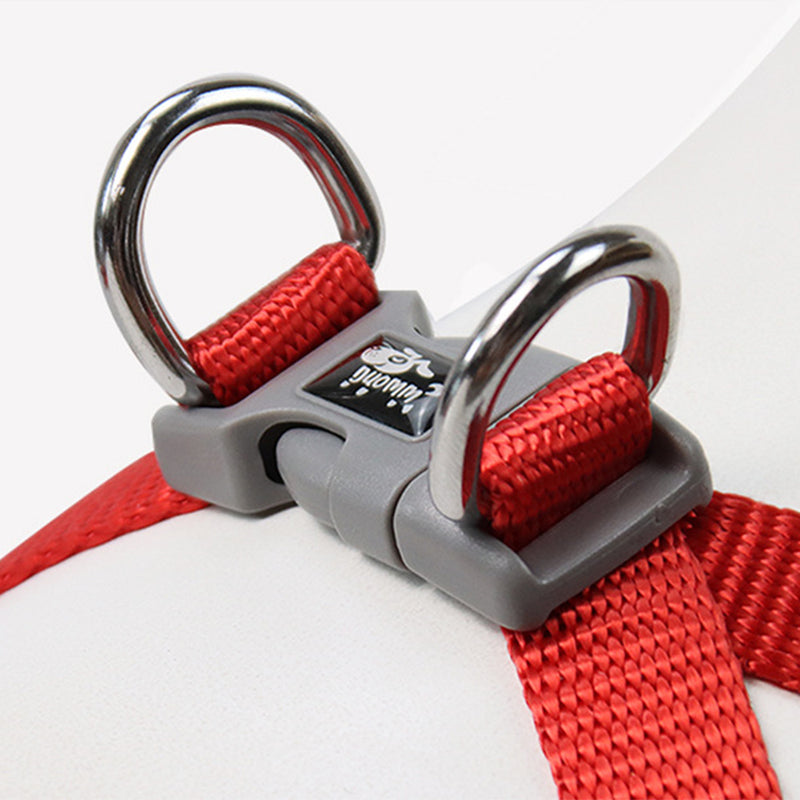 PAWS ASIA Amazon New Hot Sale Luxury Premium Embroidered Pet Harness Leash For Small Dog Cat4