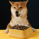 PAWS ASIA Factory Stainless Steel Rectangular Separate Luxury Feeding Portable Dog Bowl