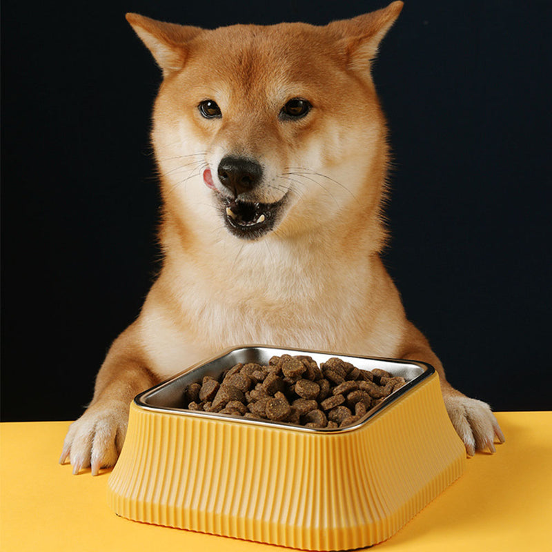 PAWS ASIA Factory Stainless Steel Rectangular Separate Luxury Feeding Portable Dog Bowl
