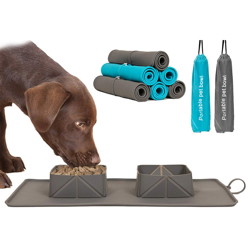 PAWS ASIA Manufacturers Silicone Non Slip Folding Portable Travel Double Dog Bowl Cat With Mat