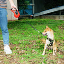 PAWS ASIA Suppliers Polyester Pet Accessories Retractable Automatic Large Dog Leash 5m