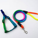 PAWS ASIA Suppliers Custom High Quality Nylon Adjustable Colorful Dog Leash And Harness