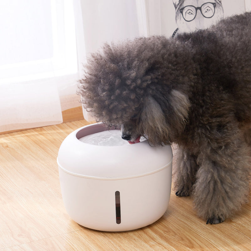 PAWS ASIA Manufacturers New Plastic 2.5L Cheap Automatic Pet Water Feeder