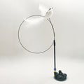 PAWS ASIA Manufacturers Steel Wire Interactive Suction Cup Long Stick Cat Toy With Feather