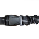 PAWS ASIA Wholesale Custom Portable Elastic Wist Hands Free Dog Leash For Running