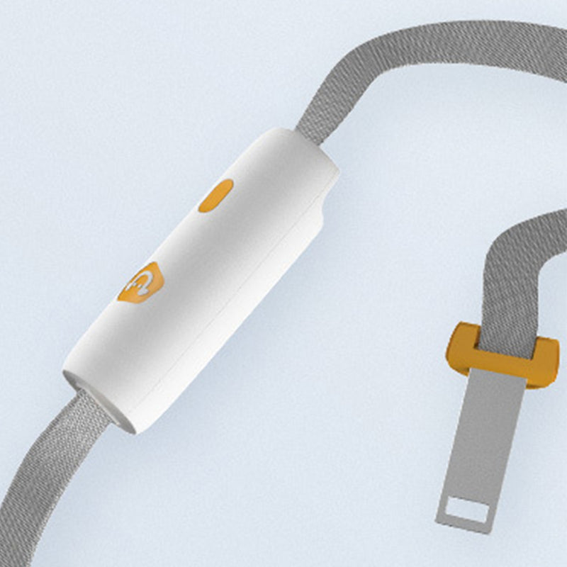 PAWS ASIA Wholesale New Style Nylon Durable Luxury Designer Reflective Dog Leash Rope With Anti Slip Handle