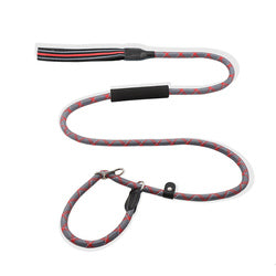 PAWS ASIA Suppliers 2 in 1 Nylon Reflective Training Strong Heavy Duty Dog Collar And Leash