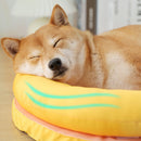PAWS ASIA Manufacturers New Large Washable Waterproof Cool Sofa Cat Bed Dog With Pillow