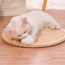 PAWS ASIA Supplier High Quality Sisal Cute Suction Cup Durable Claw Grind Pet Cat Toy Scratch Board