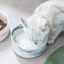 PAWS ASIA Wholesale Fancy Protect Cervical Pretty Designed Ceramic Cat Bowl