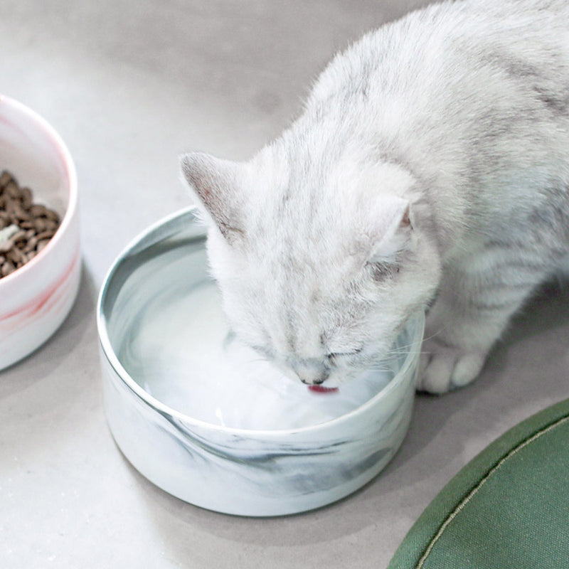 PAWS ASIA Wholesale Fancy Protect Cervical Pretty Designed Ceramic Cat Bowl