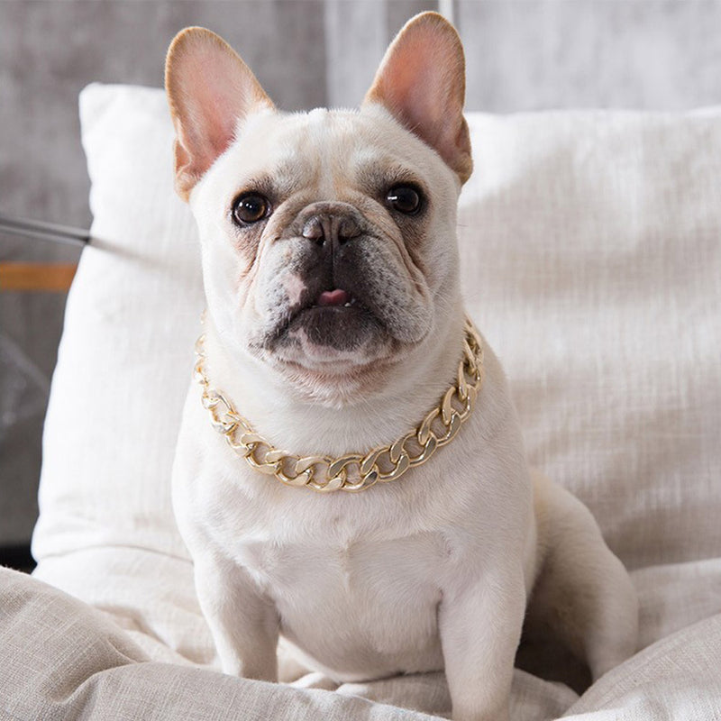 PAWS ASIA Amazon New Luxury Pet Jewelry Personalized Cool Gold Dog Chain Collar6