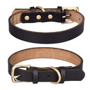 PAWS ASIA Wholesale Leather Fashion Luxury Personalized Anti Bite Spiked Studded Dog Collar Cat