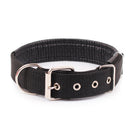 PAWS ASIA Manufacturers Wholesale Custom Adjustable Personalized Luxury Fashion Training Large Stripe Collar Dog
