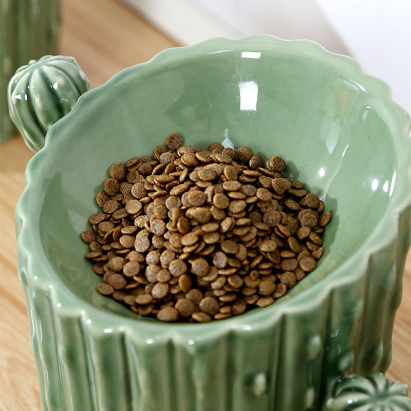 PAWS ASIA Suppliers Custom Ceramic Luxury Cactus Tall Non Slip Elevated Slanted Cat Bowl Dog