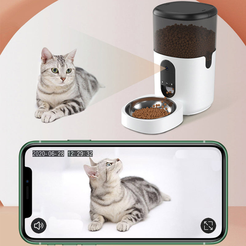 PAWS ASIA Amazon Hot Sale Eco TPC Plastic Automatic Smart Wifi Pet Feeder Cat Dog 4L 6L4