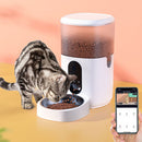 PAWS ASIA Manufacturers TPC Plastic 4L 6L Automatic Smart Pet Feeder Wifi Cat Dog