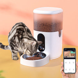 PAWS ASIA Manufacturers TPC Plastic 4L 6L Automatic Smart Pet Feeder Wifi Cat Dog